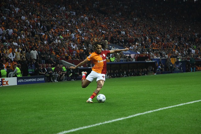 欣赏足球艺 欣赏足球艺