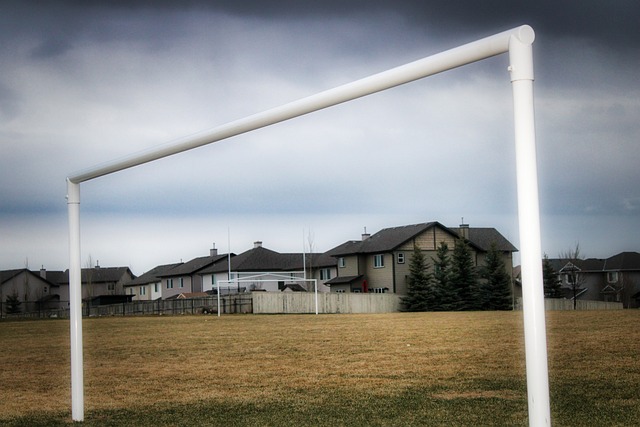 震惊与恐慌 震惊与恐慌