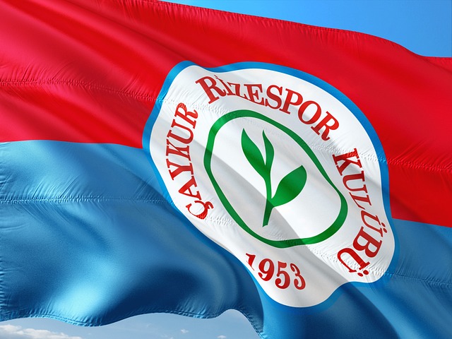 仅能满足运 仅能满足运