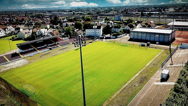 国球迷的热 国球迷的热