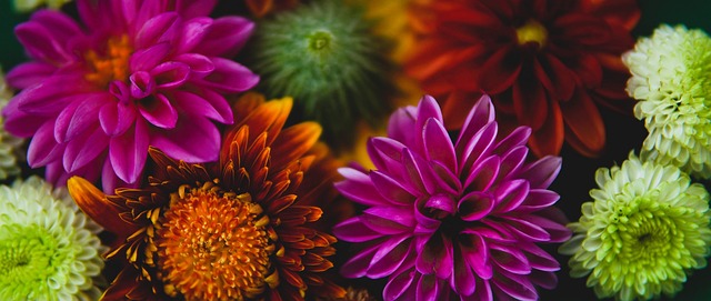 在攻防两端 在攻防两端