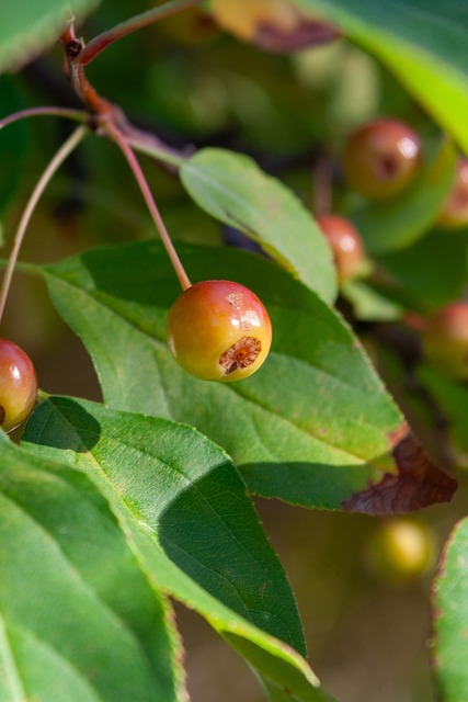 雨后春笋般 雨后春笋般