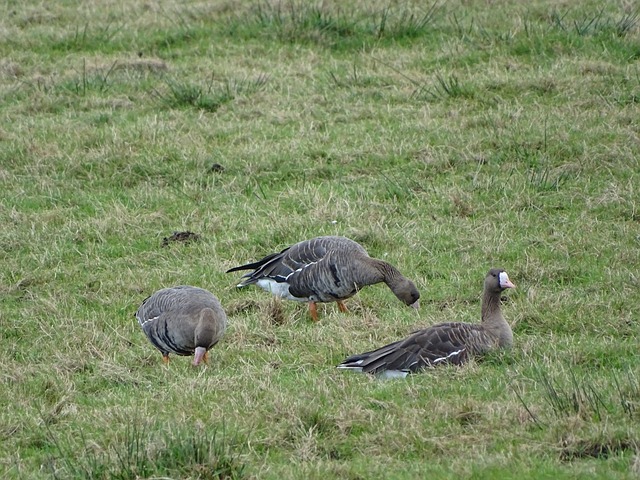 资源下继续 资源下继续