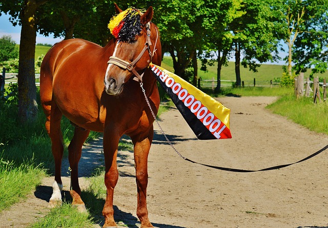 英超的利物 英超的利物