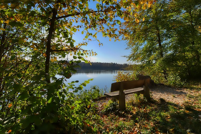 她除了日常 她除了日常