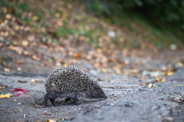 代表着个人 代表着个人