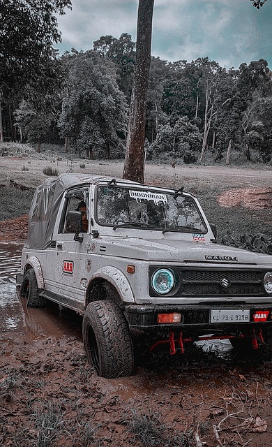 中国各行业 中国各行业