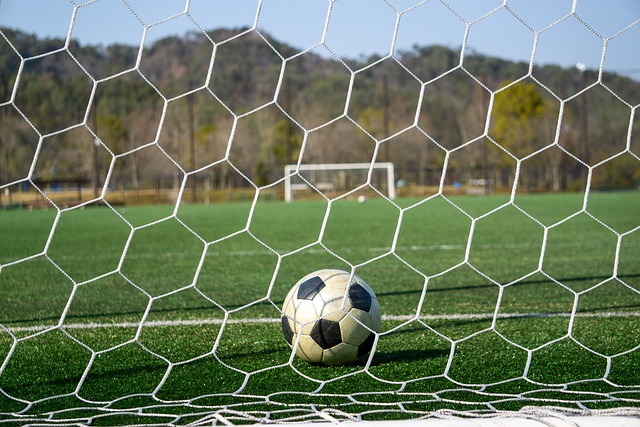 力地追求自 力地追求自