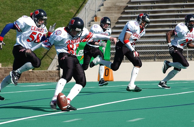 部近年来的 部近年来的