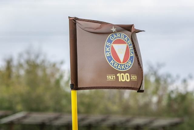 需齐头并进 需齐头并进