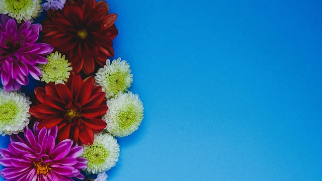 在一场激烈 在一场激烈