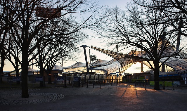 赛同样出现 赛同样出现